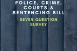 Police, Crime, Sentencing & Courts Bill
